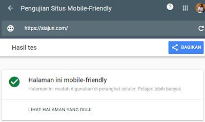 hasil tes mobile friendly wpberita