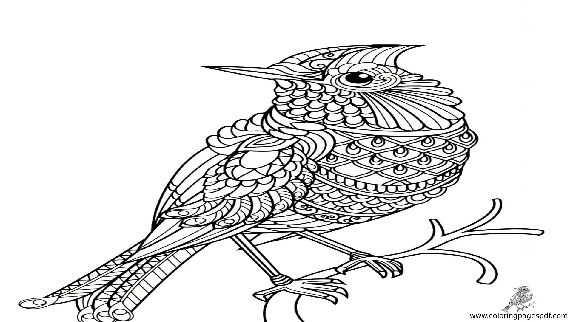 Coloring Pages Of Detailed Bird Mandala