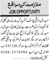 JOB OPPORTUNITY (PLASTIC AUTO PARTS COMPANY)