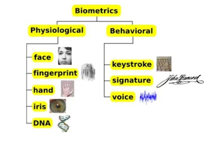 বায়োমেট্রেক্সের প্রকারভেদ (Classification of Biometrics)