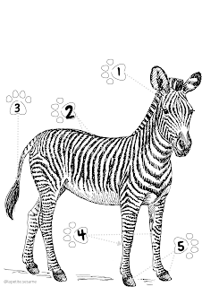 les parties du corps des animaux ( la girafe , la gazelle , le lion , l'éléphant et le zèbre )