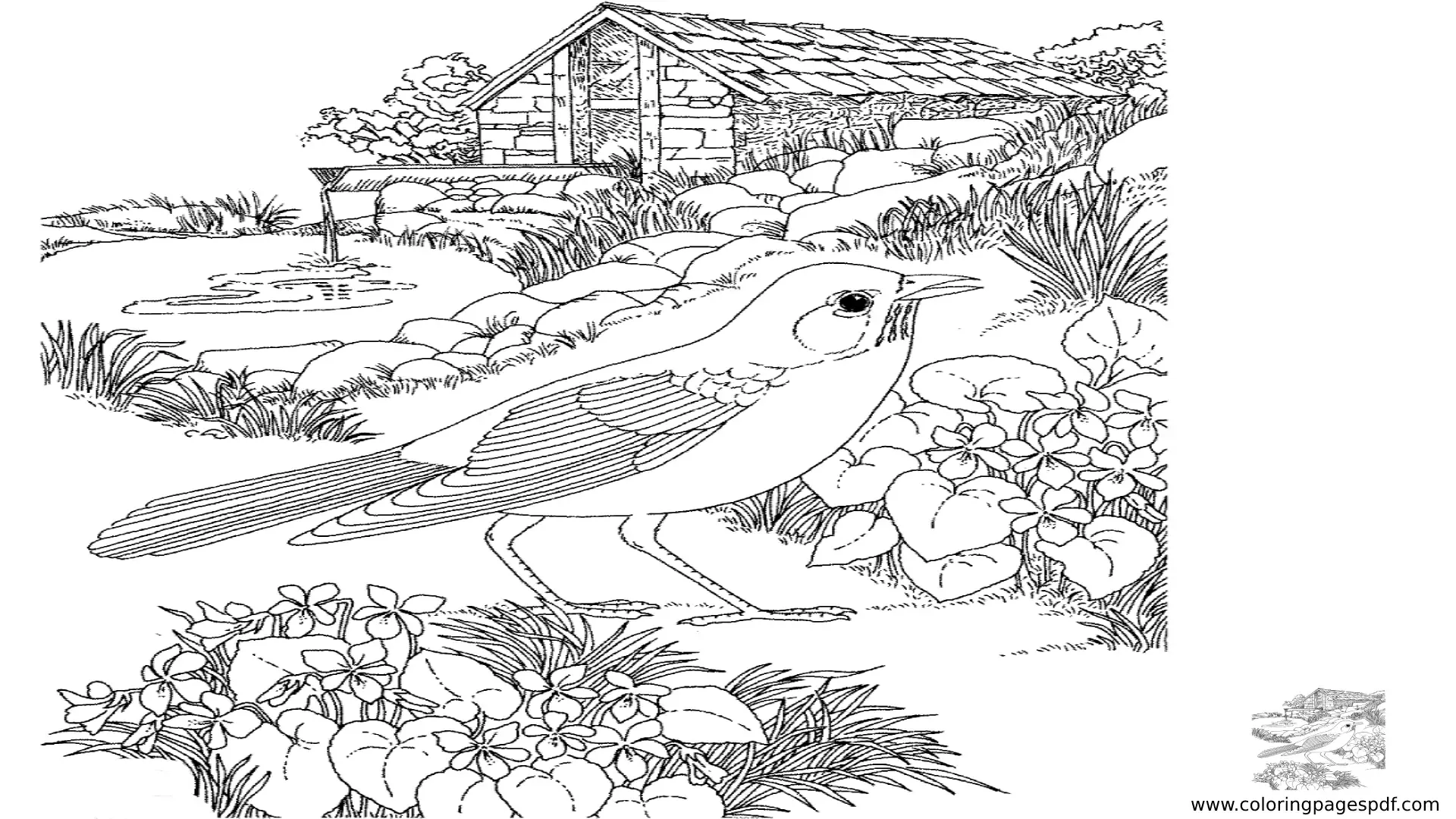 Coloring Pages Of A Cute Bird On Spring