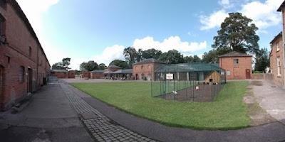 yard surrounded by buildings