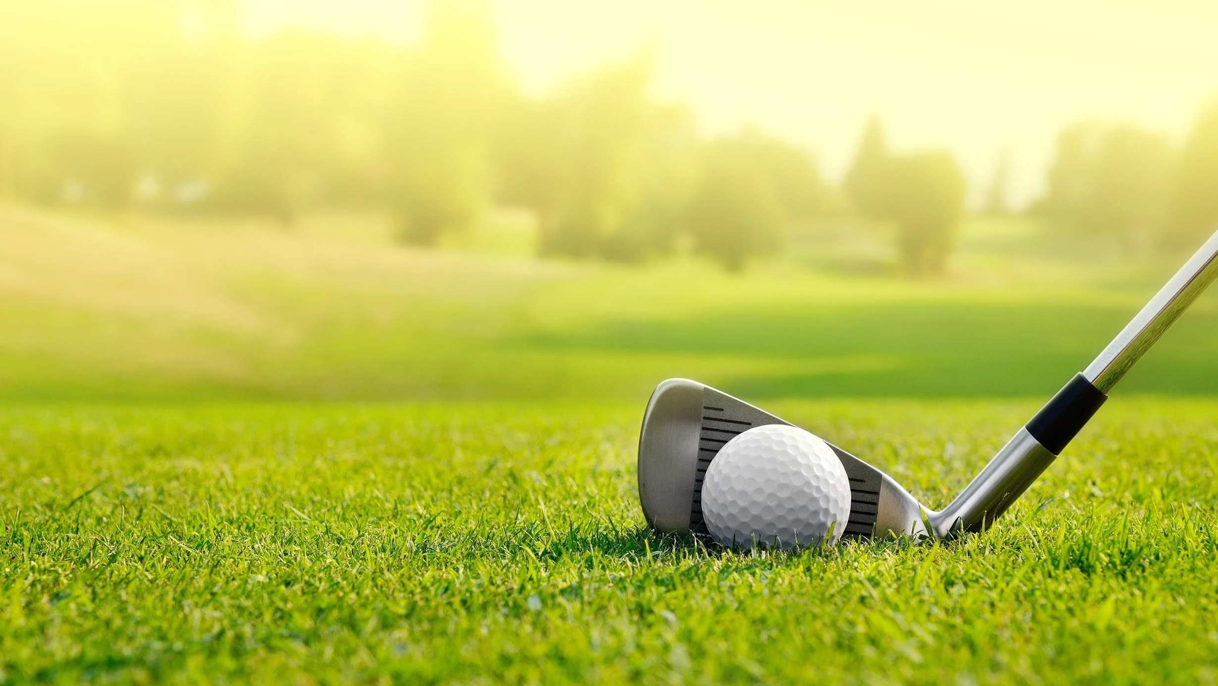 Stock image from Canva Pro of a golf club about to hit a ball of a green golf course on a hazy sunny day