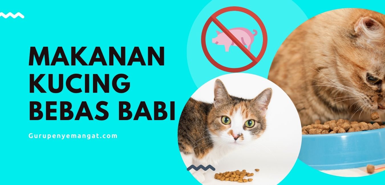 Makanan Kucing yang Tidak Mengandung Babi (Halal)