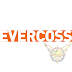 Evercoss Android