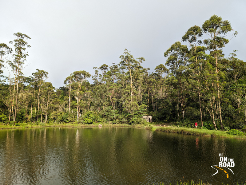 Kakkachi - the highest point in Kalakad Mundanthurai Tiger Reserve