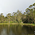 Kakkachi: The highest point inside Kalakad Mundanthurai Tiger Reserve