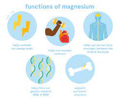 Importance of magnesium in human body: