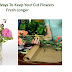  9 simple ways to keep your cut flowers fresh for a long time