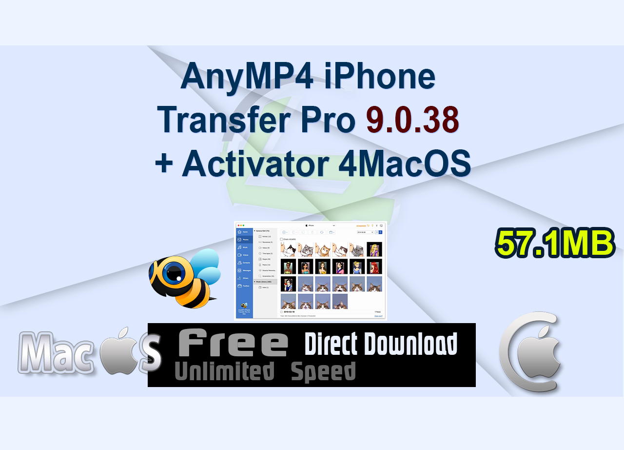 AnyMP4 iPhone Transfer Pro 9.0.38 + Activator 4MacOS