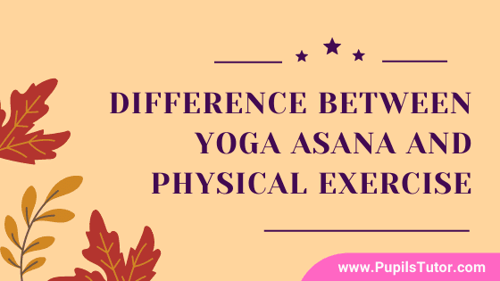 Yoga Or Physical Exercise Which Is Better? – Explain 10 Major Difference Between Yoga And Physical Exercise | Is Yoga A Physical Exercise? - Compare - www.pupilstutor.com