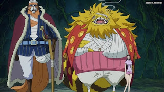 ワンピースアニメ ゾウ編 770話 イヌアラシ ネコマムシ | ONE PIECE Episode 770