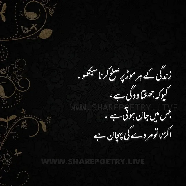 Quotes in Urdu 20 best urdu quotes with images