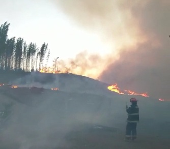 ⚠️Osorno: Alerta Amarilla para la comuna por incendio forestal