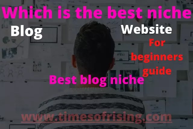 For beginners Top best 11 blog niche