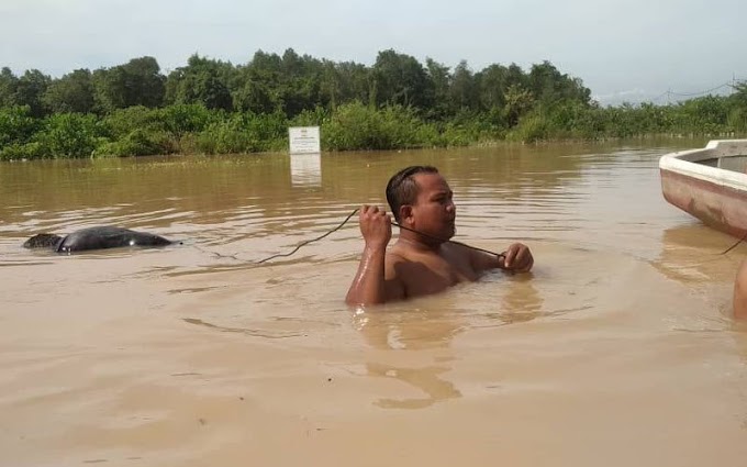 Redah air selamatkan barang, pengantin baharu ditemui lemas