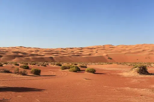 الربع الخالي