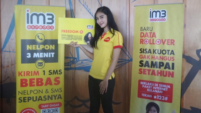 Cheap Monthly Indosat Dial Codes 2023