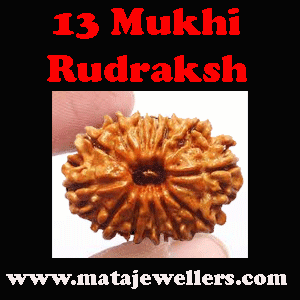 13 face rudraksh beads