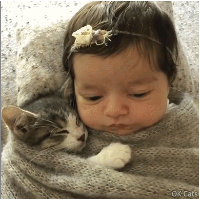 Cute Kitten GIF • Adorable human  baby and kitty cat sleeping together head to head under blanket, so much love ♥ [ok-cats-gifs.com]