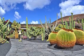 Jardín de Cactus