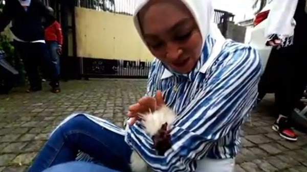 Bebas dari Penjara Langsung Keliling Jakarta, Angelina Sondakh Pamerkan Ayam yang Setia Menemaninya 10 Tahun: Dia Pintar