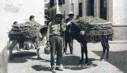 Vendedores callejeros de Sevilla