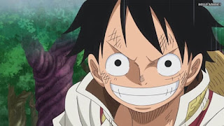 ワンピースアニメ WCI編 805話 ルフィ 笑顔かわいい Monkey D. Luffy | ONE PIECE Episode 805