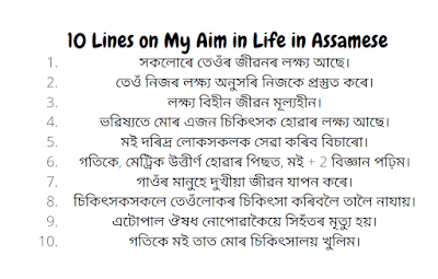 10 Lines on My Aim in Life in Assamese