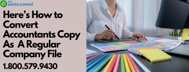 accountant's copy as a regular company file