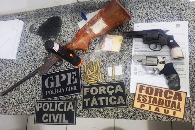 Força Tarefa de Segurança Pública apreende armas e munições no norte do Piauí