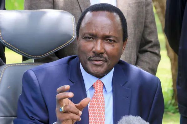 Kalonzo Is Merely a Watermelon - Check Out What He Had to Say About Collaborating With Raila Odinga in 2022