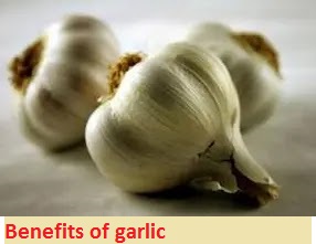 Benefits of garlic