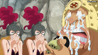 ワンピースアニメ ドレスローザ編 734話 ギャッツ | ONE PIECE Episode 734