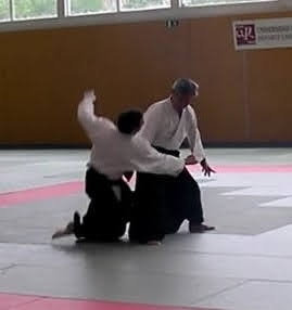 aikido sumi otoshi