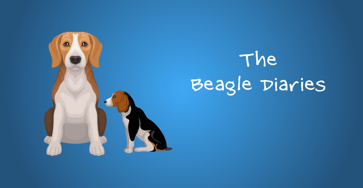 The Beagle Diaries