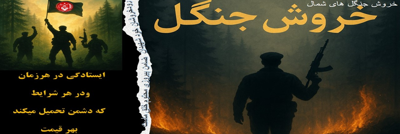 خروش جنگل های شمال