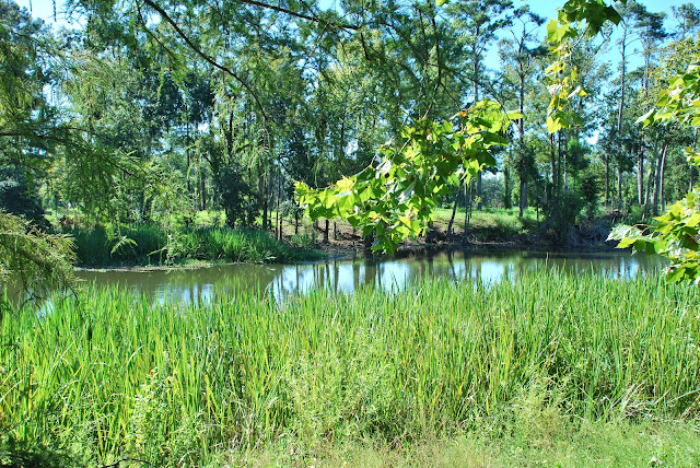 Earle May Park
