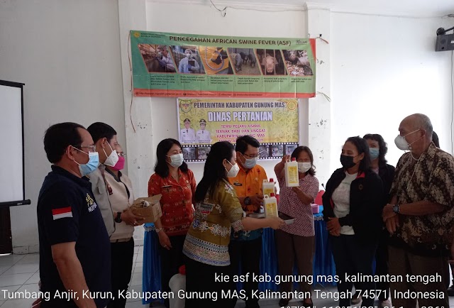 Tanggulangi Potensi Penyebaran Virus Demam Babi Afrika, Kementan Terjunkan Tim Khusus di Kalteng