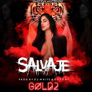 Gold2 la musa - Salvaje AVvXsEjmaJsS-iXbr080yefZ29tY_z2ohJRWlsF8GT7xmp3ZDbGrT7rxBGpo0ZiG9l7XGg0ILJeFrN6vTGHUAL-SroabbJamdlhsRDNO5cJ1UC0eXds-Bv-bwqrgESuVzf61SjdvfAUocV8LXf0FZcQpmRSxaO_AQfXjm4sNm56w3d8DOTTuySV93Mjxlt1Tew=s320