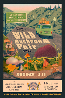 Wild Mushroom Fair 2024