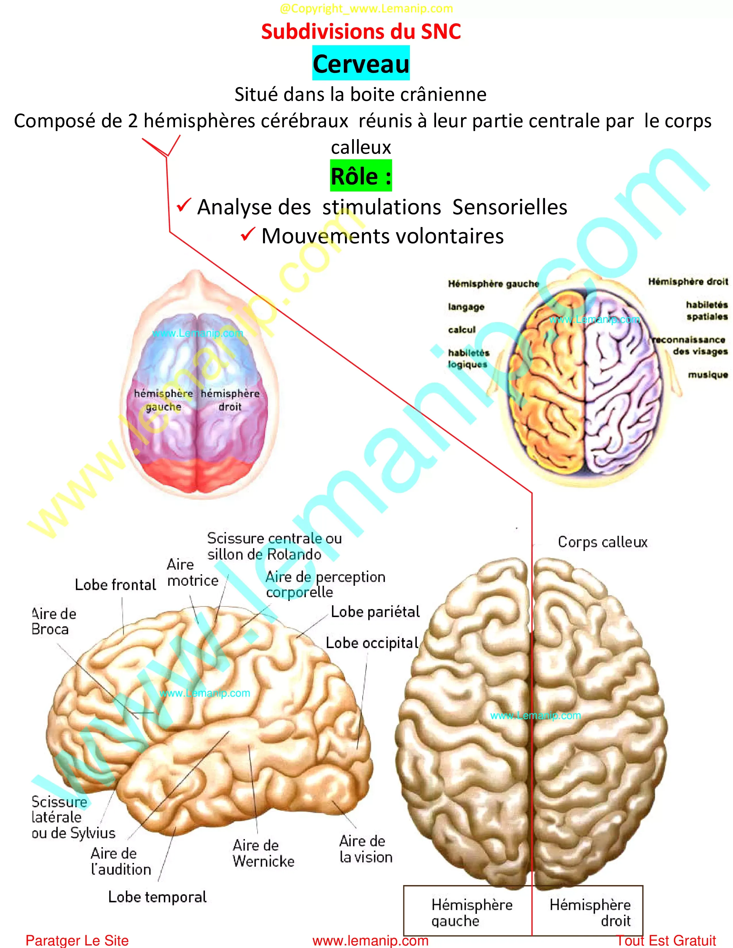 st thomas neurology,white wilson neurology,paraneoplastic disorders,choc neurology,prisma neurology,abc neurology,providence neurology,neurology center for epilepsy and seizures,brigham and women's neurology,myasthenia gravis doctor