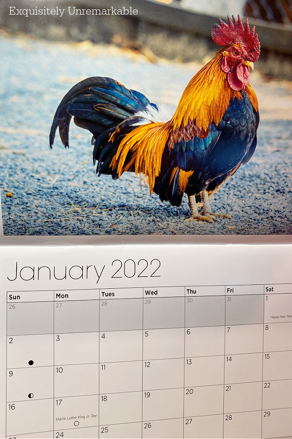 January 2022 Rooster Calendar page