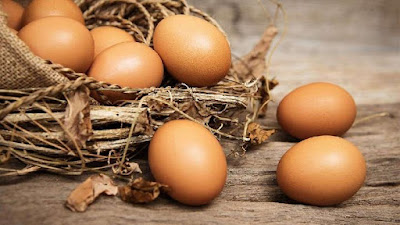 Distributor Telur Ayam Bogor Berkualitas dan Terpercaya