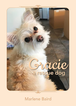 Gracie, a rescue dog