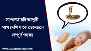 সপোনত সাপ দেখিলে কি হয়