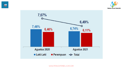 Tingkat pengangguran di Indonesia laki-laki dan perempuan