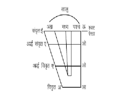 मानस्वर क्या होते हैं । Cardinal Vowel in Hindi