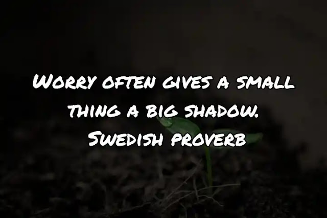 Worry often gives a small thing a big shadow. Swedish proverb